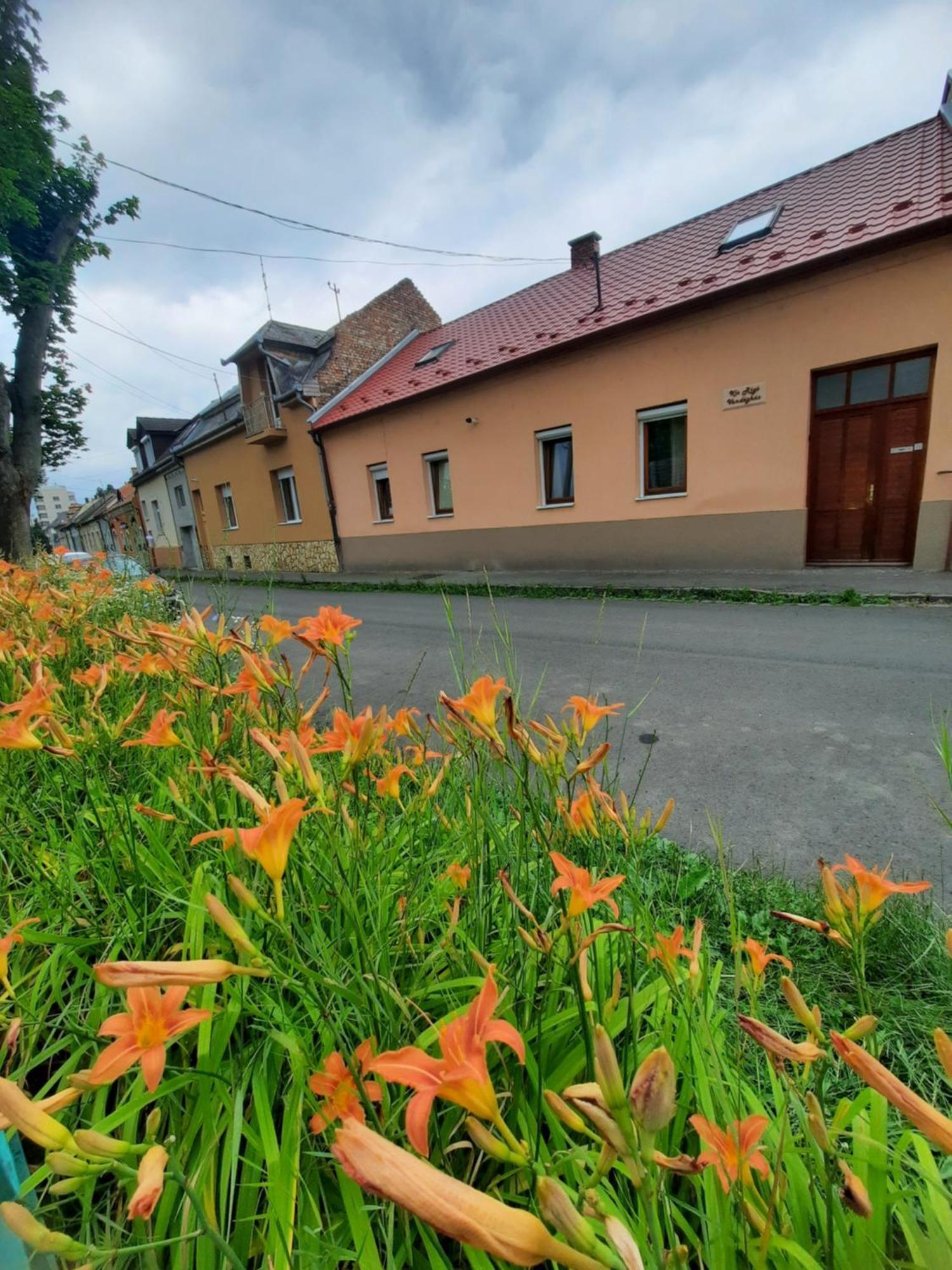 Отель Kis Rigo Vendeghaz Шальготарьян Экстерьер фото